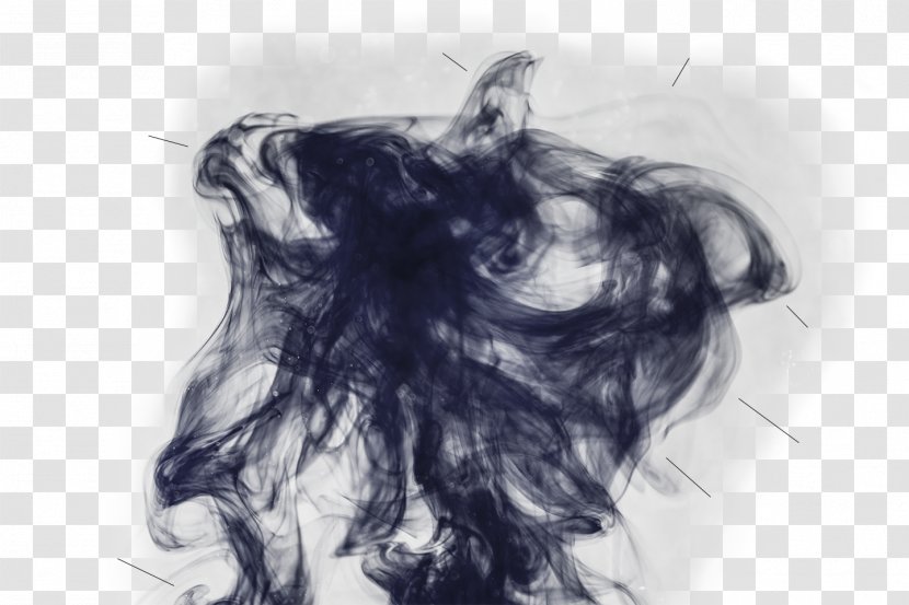 Figure Drawing White Ear Sketch Transparent PNG