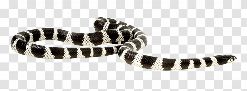 Snake Clip Art - Queen Transparent PNG