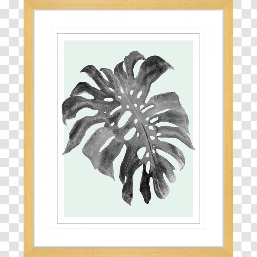 Swiss Cheese Plant Paper Picture Frames Printmaking Art - Monstera Transparent PNG