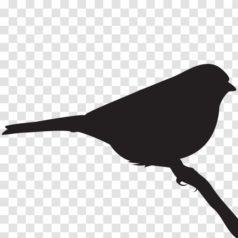 Bird Black And White Monochrome Photography Beak - Wing - Sparrow Transparent PNG