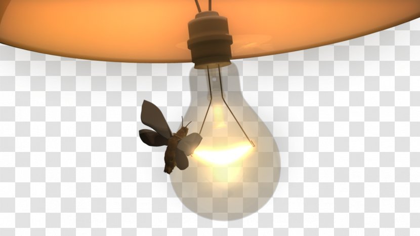 Lamp Incandescent Light Bulb Moth Fixture - Storyboard Transparent PNG
