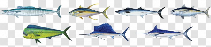 Mahi-mahi Fish Tuna King Mackerel - Tree Transparent PNG
