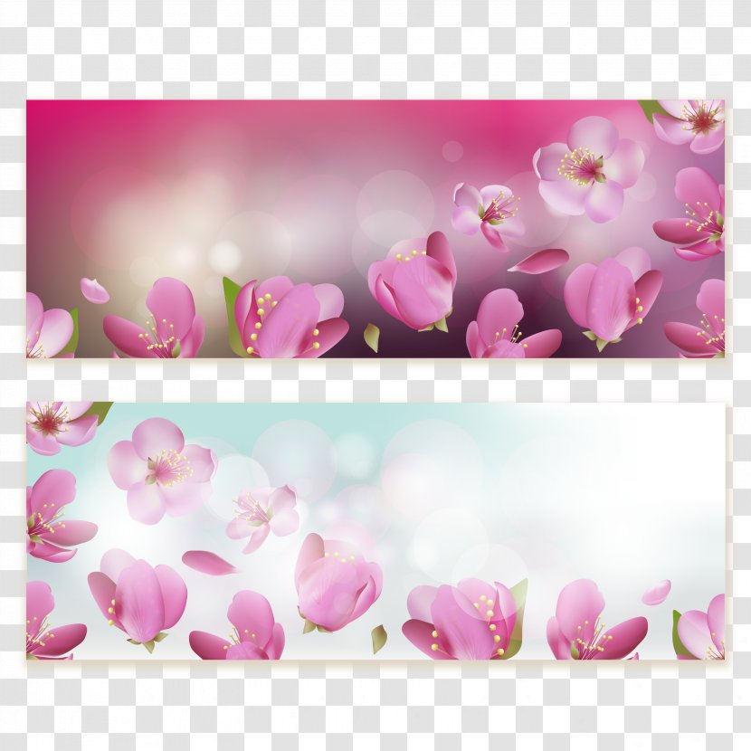 Flower Cherry Blossom Download Clip Art - Floristry - Decorative Background Transparent PNG