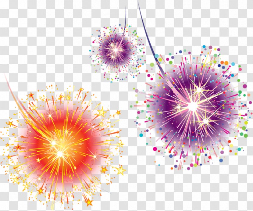 Light Adobe Fireworks Graphic Design - Flower - Hand Colored Effect Transparent PNG