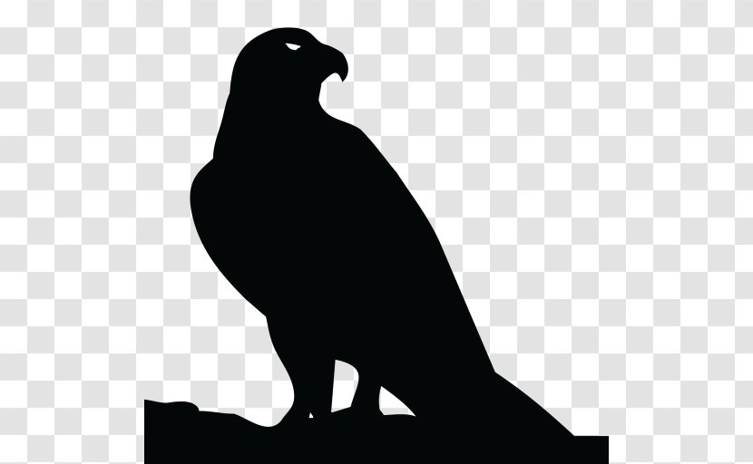 Beak Bird Of Prey Clip Art Fauna - Monochrome Transparent PNG