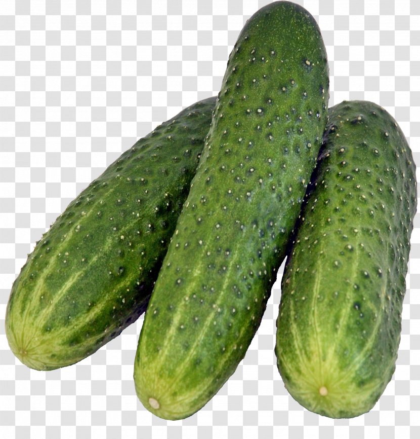 Pickled Cucumber Rassolnik Salad - Auglis Transparent PNG