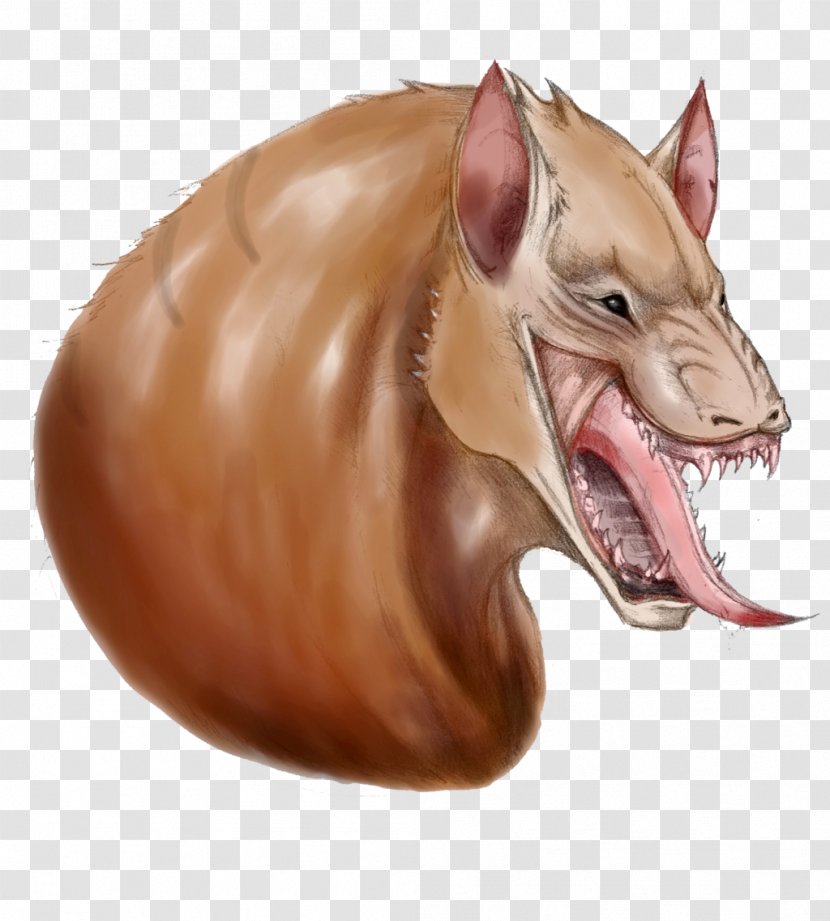 Pig's Ear Snout Carnivora - Jaw - Dingodile Transparent PNG