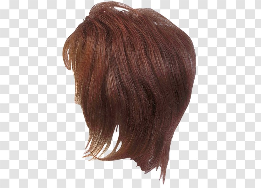 Wig Step Cutting Layered Hair PhotoScape Bangs - Lucas Transparent PNG