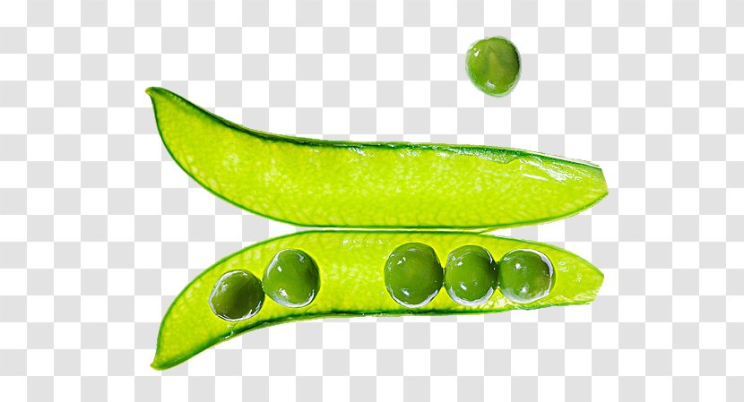 Canada Social Psychology Textbook Stock Photography - Legume - Peas Pictures Transparent PNG