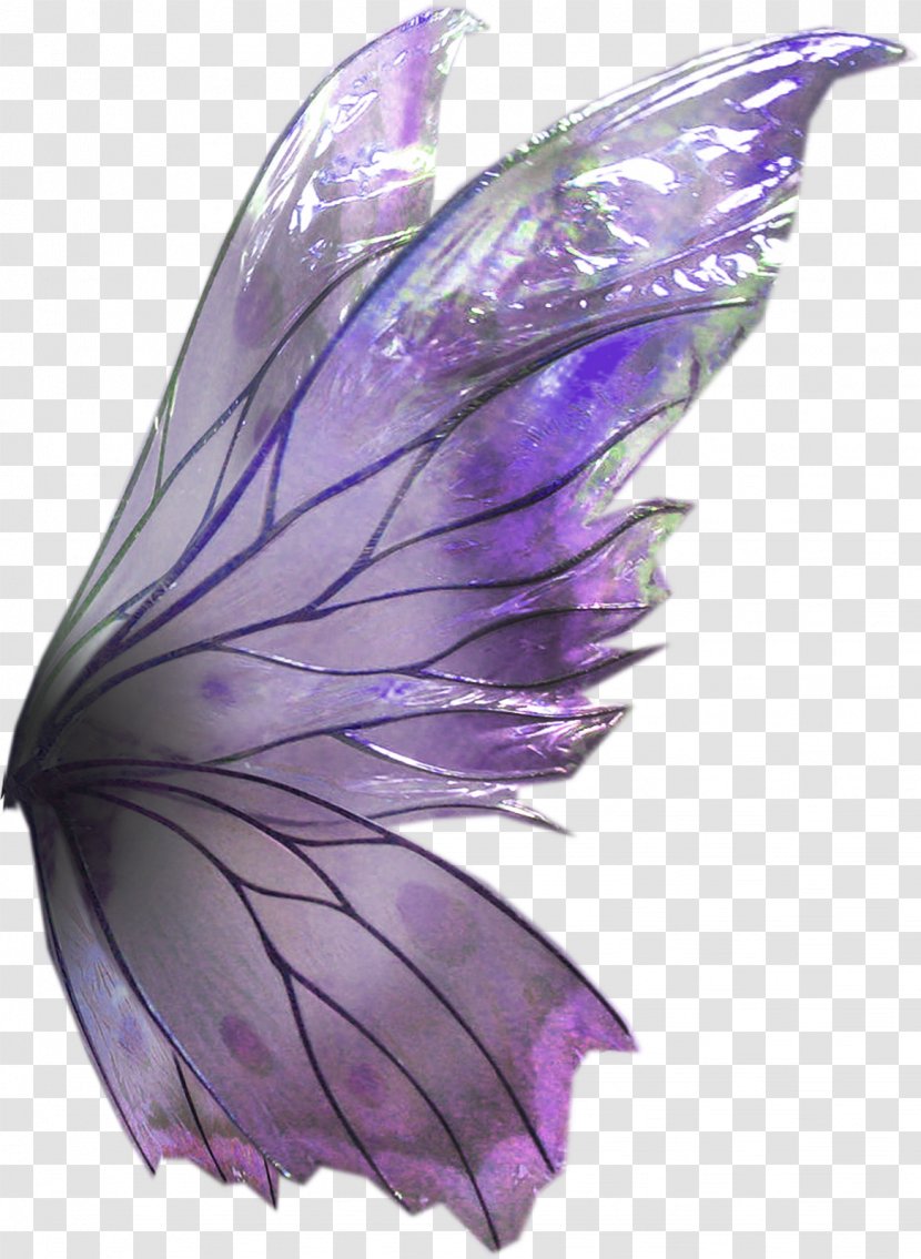 Butterfly Lavender Lilac Violet Purple - Moths And Butterflies Transparent PNG