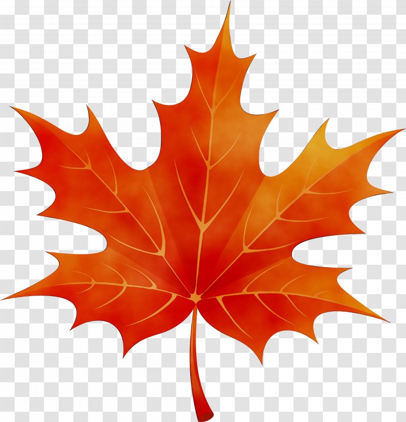 Clip Art For Fall Image Tattoo - Deciduous Transparent PNG
