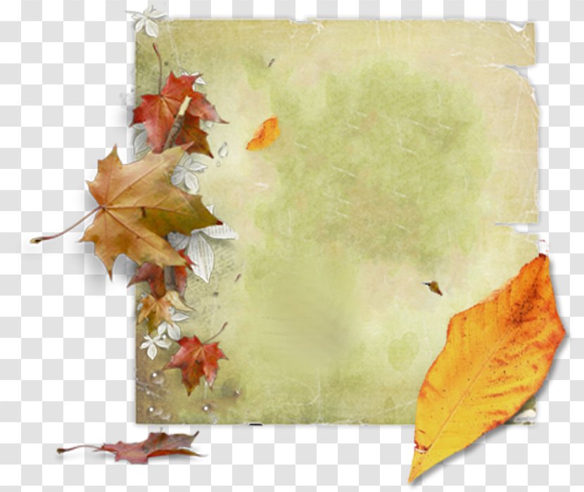 Autumn Maple Leaf Clip Art - Petal - Book Label Transparent PNG