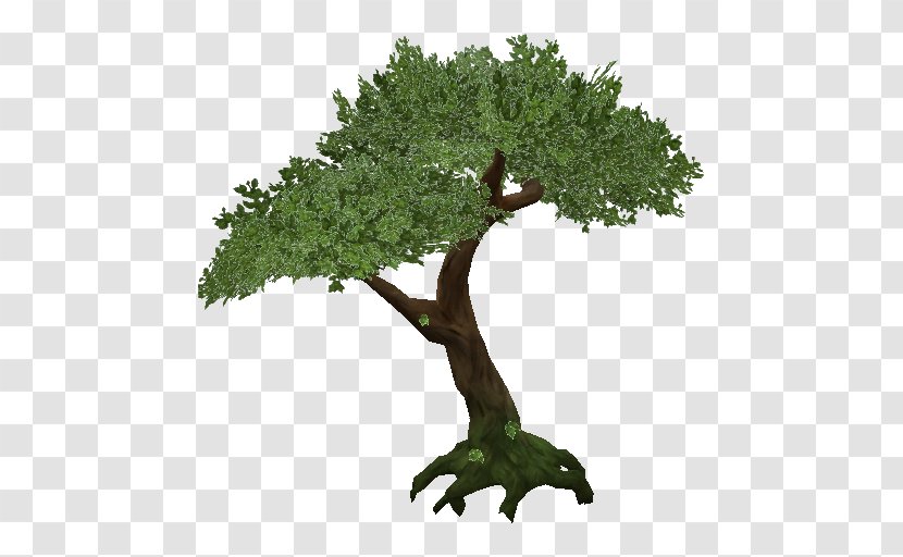 Transparency Tree Clip Art Image Resolution - Plant Transparent PNG