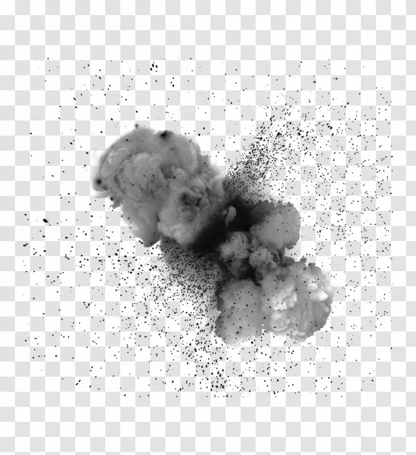 Explosion Dust Powder - Silhouette - Gray Transparent PNG