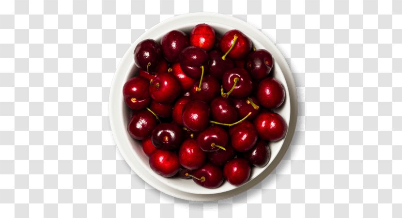 Cranberry Lingonberry Pink Peppercorn Superfood - Cherry Botanical Transparent PNG