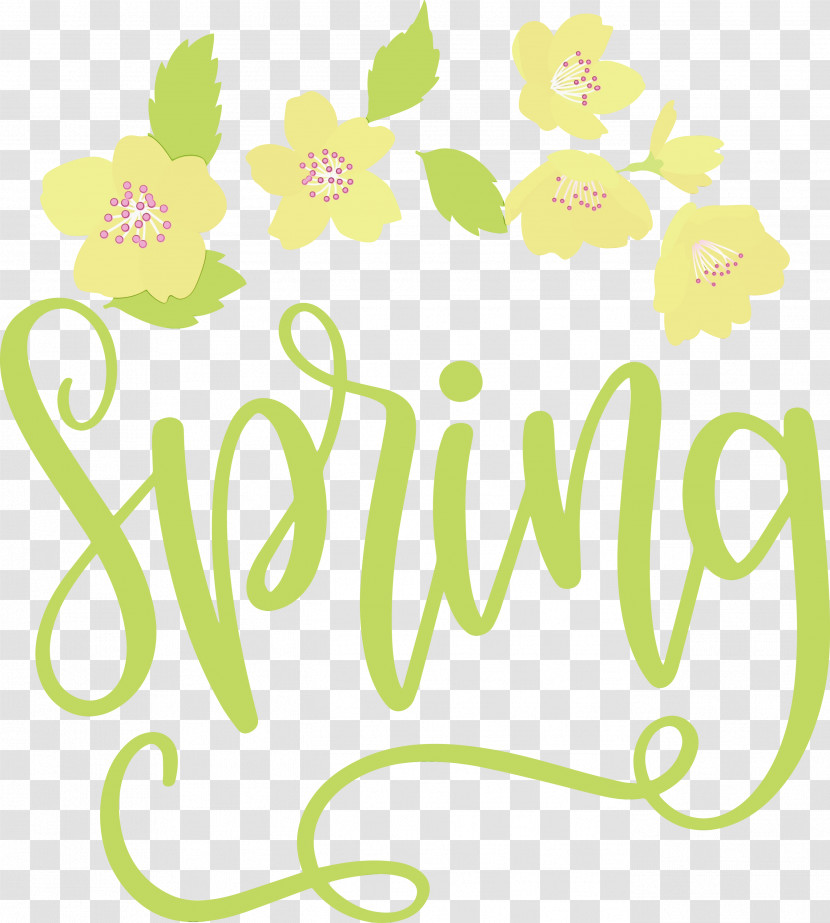 Floral Design Transparent PNG