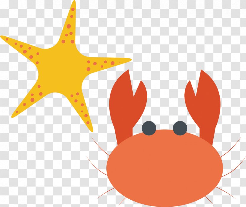Crab Illustration - Orange - Starfish Vector Material Transparent PNG