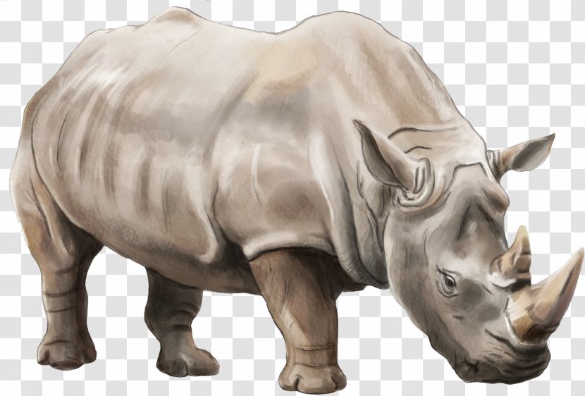 Elasmotherium Rendering - Fauna - Rhino Transparent PNG