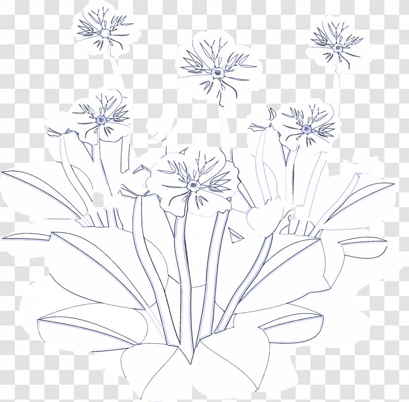 White Flower Line Art Plant Coloring Book - Wildflower - Pedicel Transparent PNG