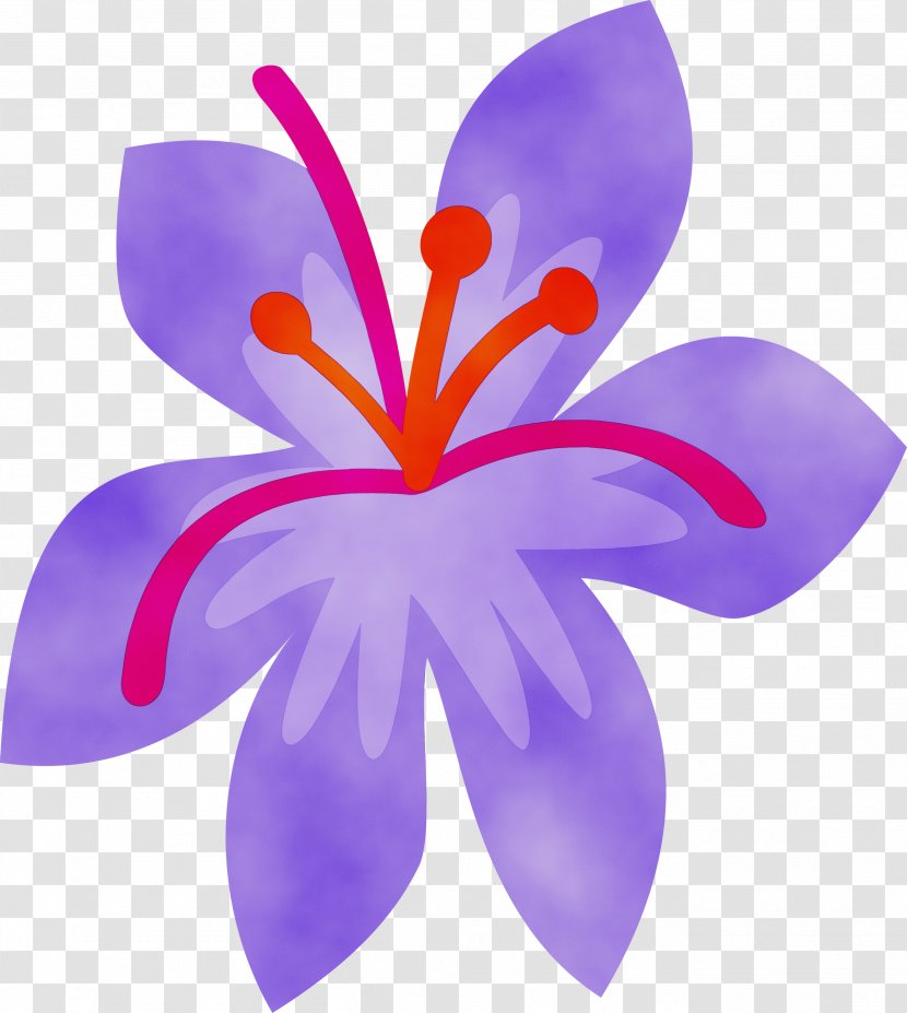 Petal Violet Purple Flower Plant - Iris Family - Flowering Transparent PNG