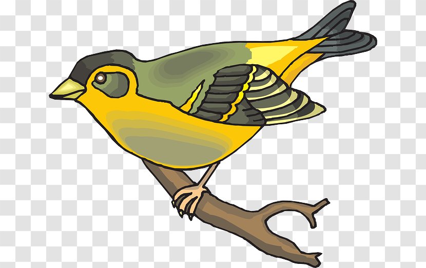 Finches Bird Zebra Finch Clip Art - Yellow - Blue Feather Arrow Transparent PNG