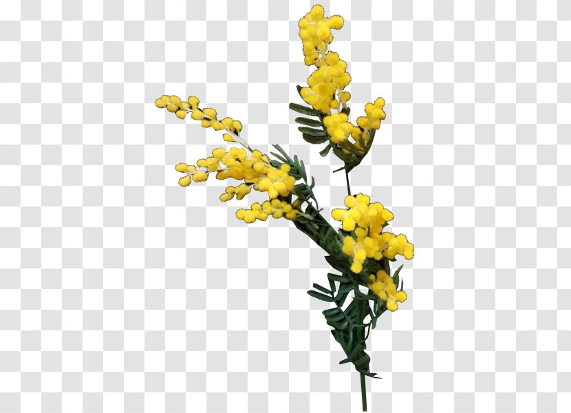 Australia Artificial Flower Cut Flowers Floral Design - Mustard - Mimosa Transparent PNG