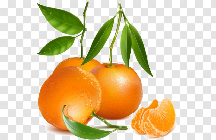 Orange - Tangelo Transparent PNG