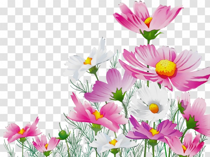 Background Family Day - Wet Ink - Daisy Spring Transparent PNG