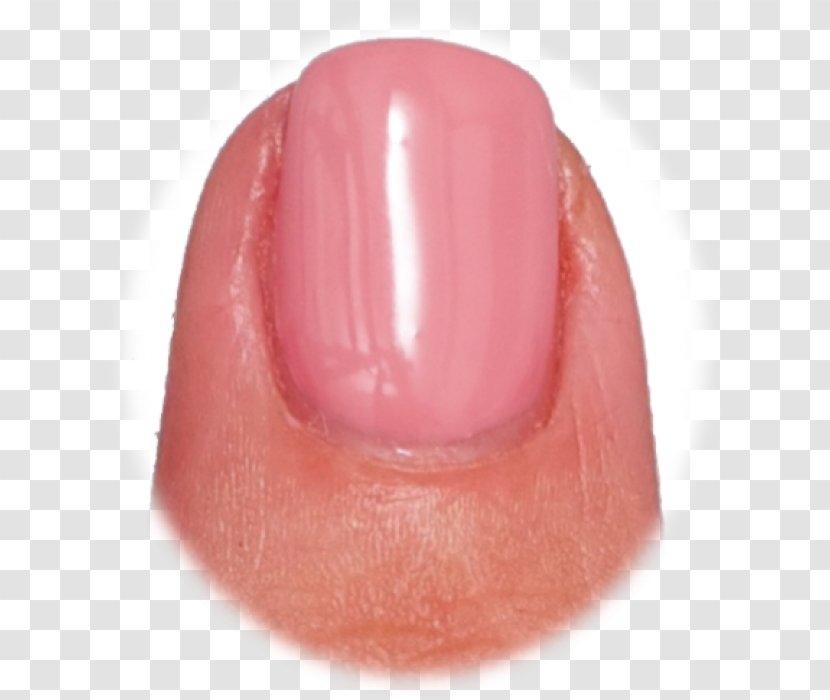 Nail Peach - Finger Transparent PNG