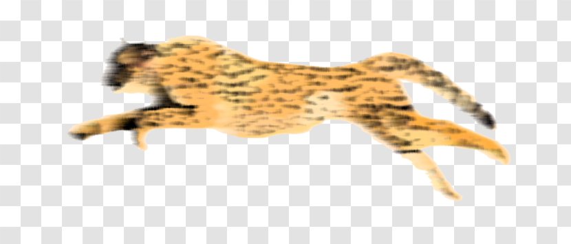 Leopard Cheetah Clip Art Transparent PNG