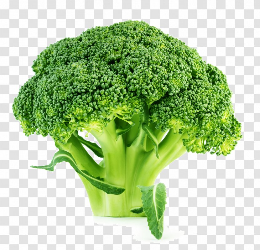 Broccoli Slaw Brussels Sprout Cauliflower Vegetable - Flowerpot Transparent PNG