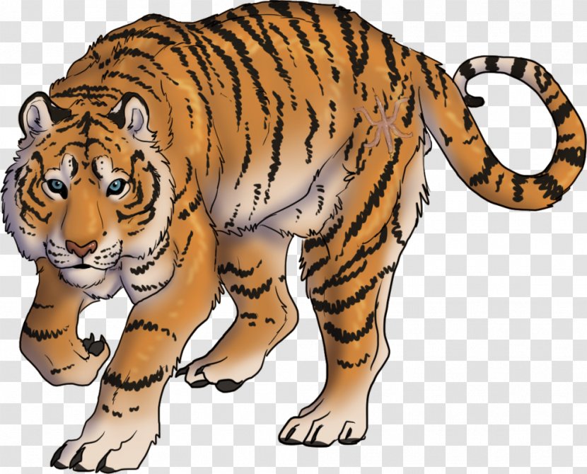Whiskers Tiger Lion Wildcat - Snout Transparent PNG
