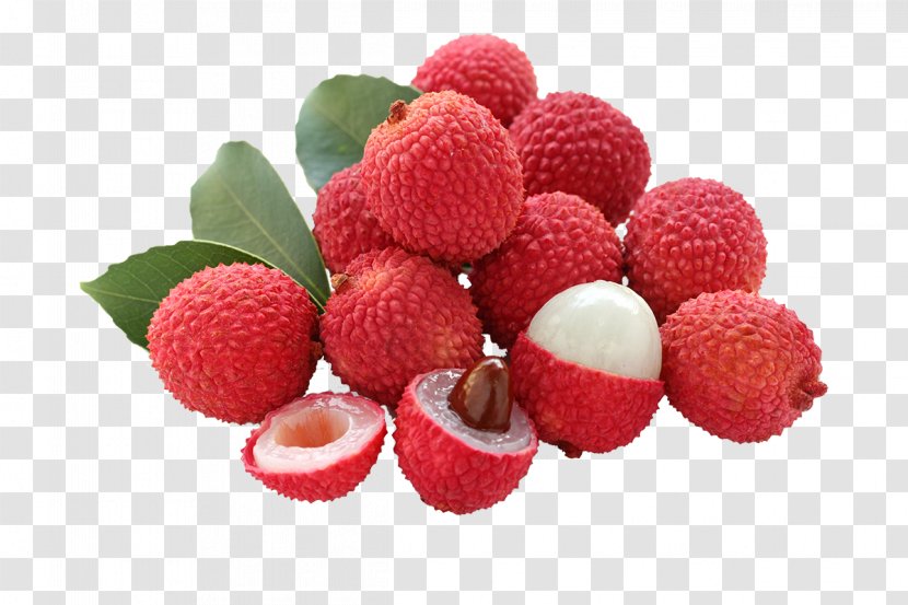 Rambutan Pulasan Lychee Fruit Longan - Soapberry Family - Plum Transparent PNG