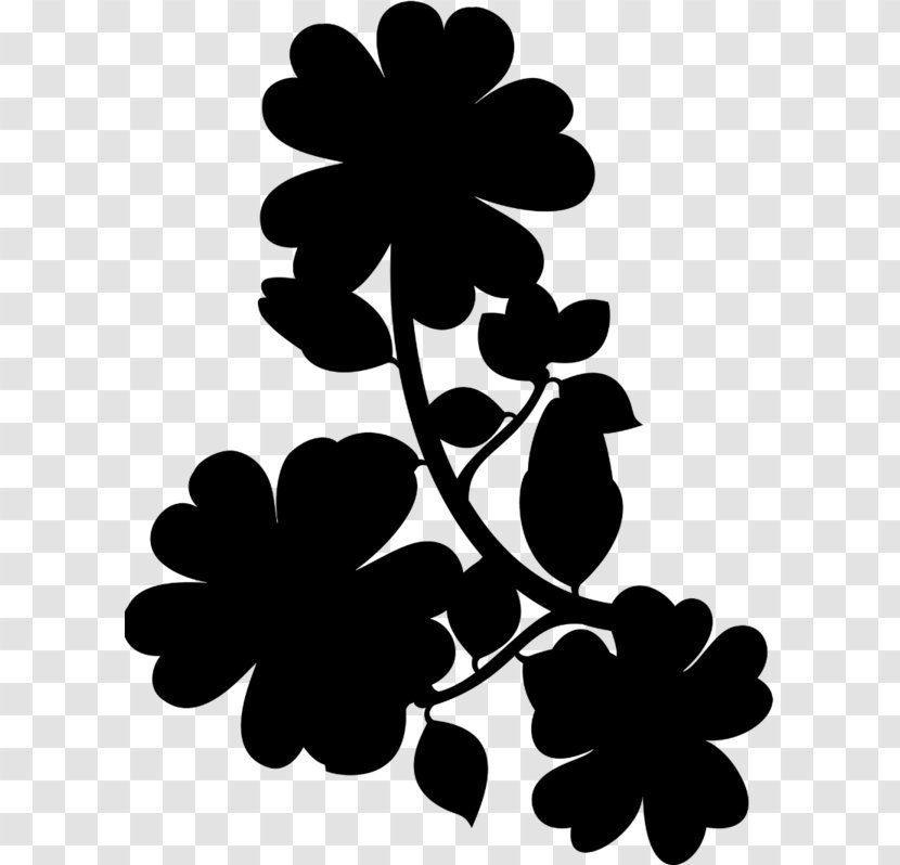Petal Black & White - Flowering Plant - M Floral Design Leaf Transparent PNG