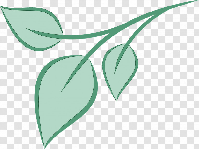 Plant Stem Petal Leaf Branch Green Transparent PNG