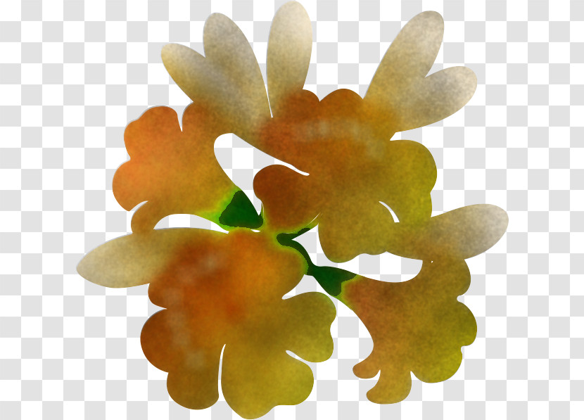 Lily Flower Floral Transparent PNG