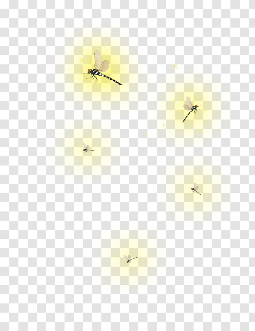 Fireflies PicsArt Photo Studio Insect Desktop Wallpaper - Radio Record - Yellow Transparent PNG