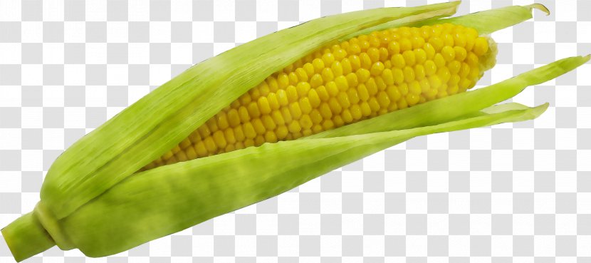 Corn On The Cob Sweet Natural Foods - Vegetarian Food - Grain Transparent PNG