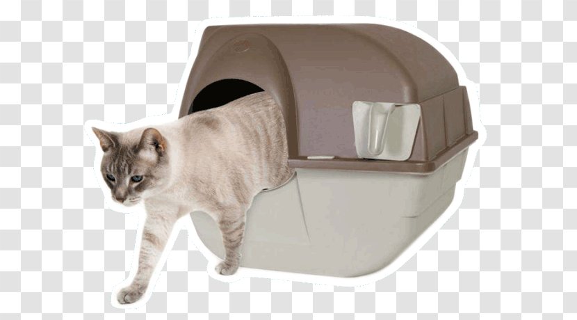 Cat Litter Trays Paw Box Pet - Big Transparent PNG