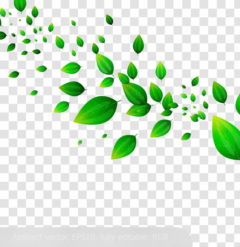 Green Leaf Watercolor - Organism - Botany Transparent PNG