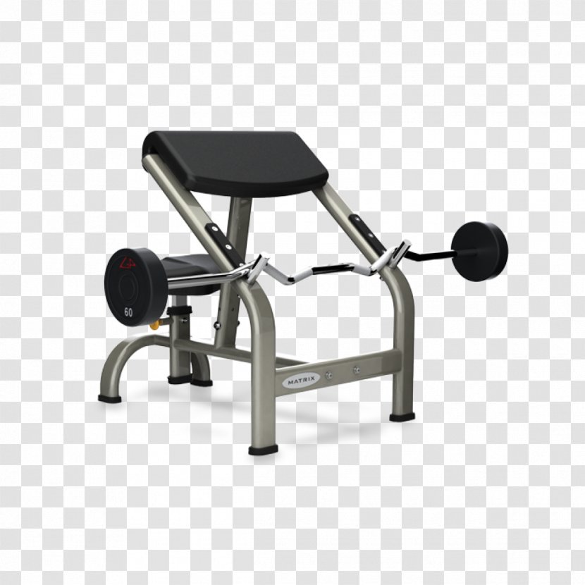 Bench Biceps Curl Weight Training Exercise Equipment Strength - Furniture - Sports Transparent PNG