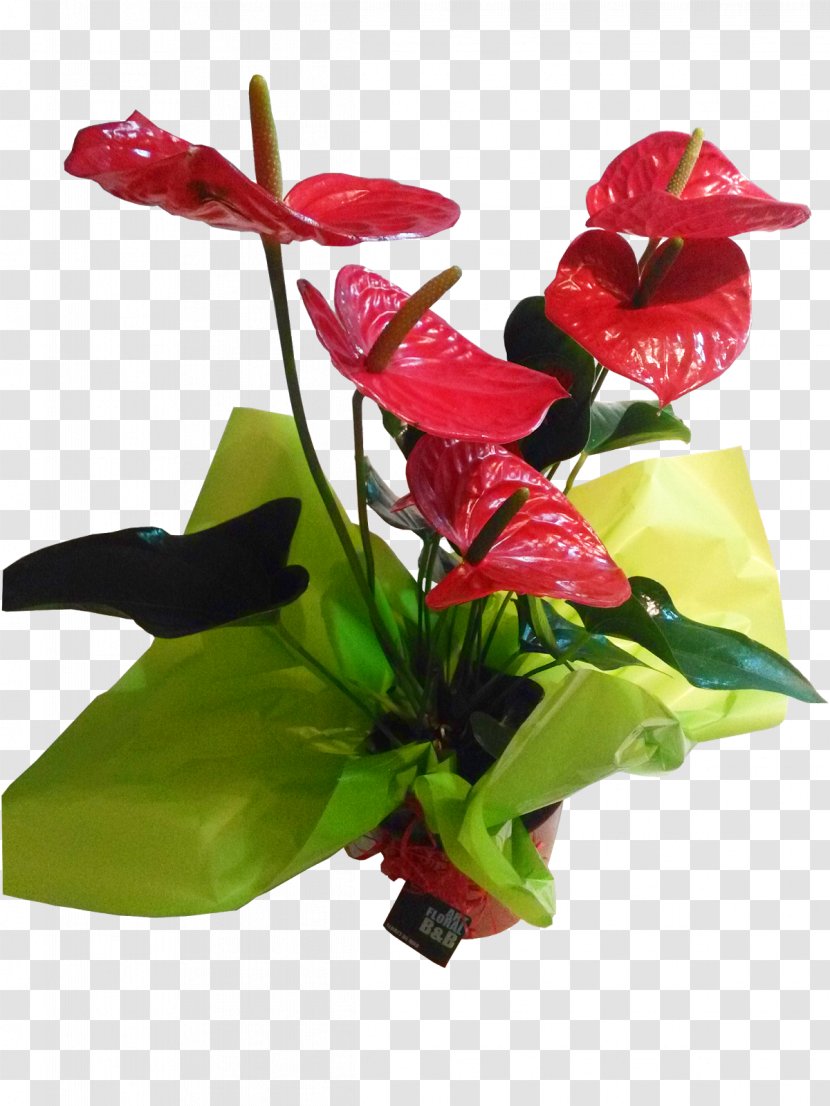 Floral Design Cut Flowers Flower Bouquet Vase - Plant Stem - Anthurium Andraeanum Transparent PNG