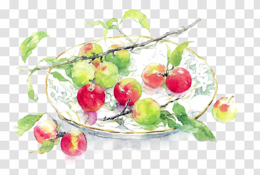 Watercolor Painting Artist - Oil Paint - Peaches Transparent PNG