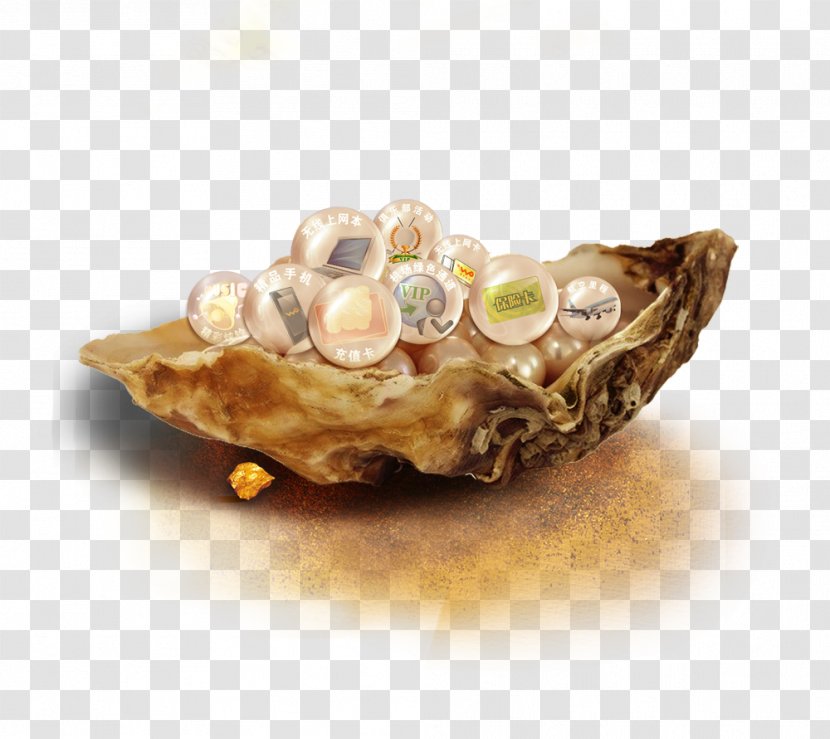 Poster - Web Banner - China Unicom Shell Transparent PNG