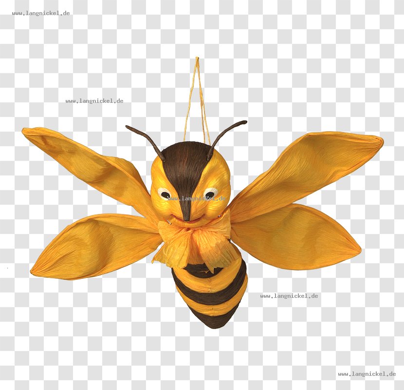 Honey Bee Moth Pest - Invertebrate Transparent PNG