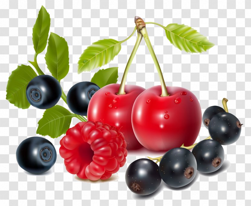 Berry Clip Art - Raspberry - Cherry Blueberry Photos Transparent PNG