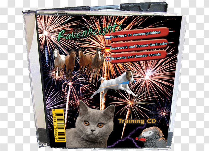 Dog Puppy Whiskers Fireworks Compact Disc - Animal - A Firecracker Transparent PNG