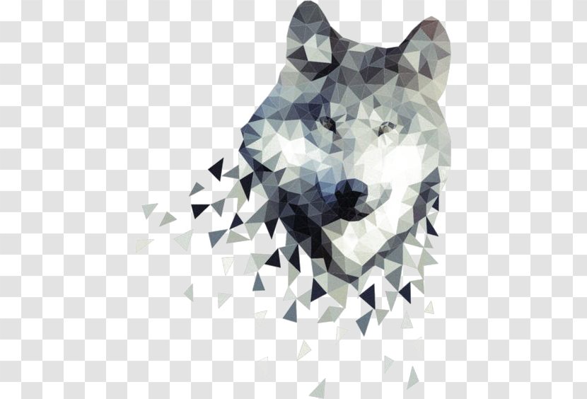 Gray Wolf African Wild Dog Zazzle Poster Illustration - Carnivoran Transparent PNG