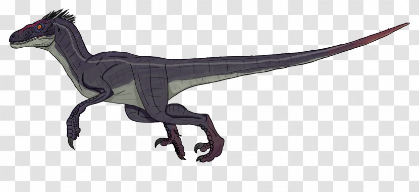 Velociraptor Deinonychus Drawing Dinosaur Jurassic Park Transparent PNG