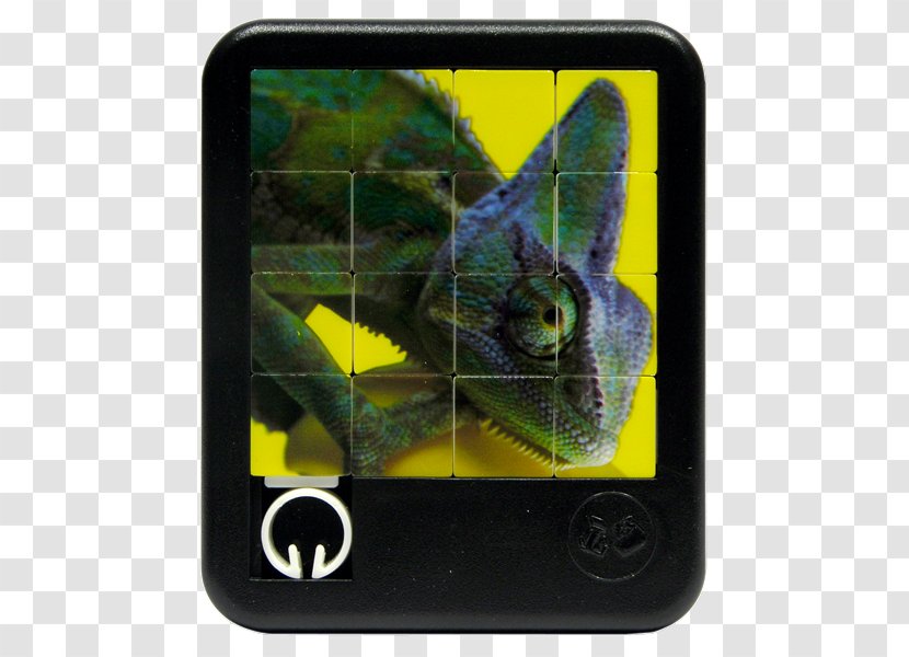 Jigsaw Puzzles Larsen Puzzle ZOO 3 Game Mobile Phones Nature - Canadian Warning Choking Hazard Transparent PNG